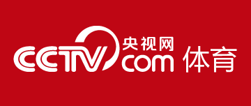 这队的进攻流畅得不像话（这支球队的进攻如行云流水）